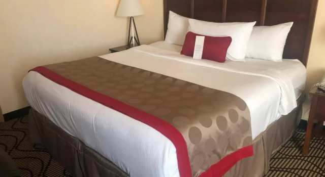 Люкс Ramada by Wyndham Birmingham Airport