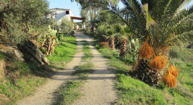 Вилла L Agave e la Palma Nana