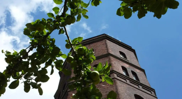 Одноместный номер Standard Alexianer Hotel am Wasserturm