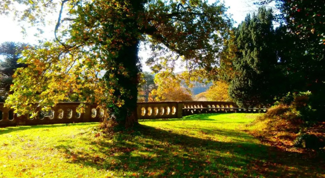 Number 6 Narrow Water Castle, Book Lejlighed Warrenpoint Down County