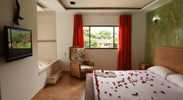 Люкс Standard Hotel Anamichu Suites