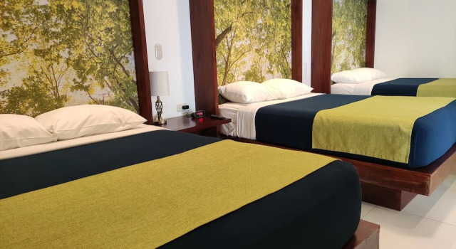 Номер Business Hotel Agualcas