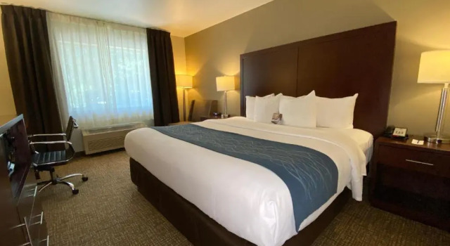 Номер Standard Comfort Inn Lacey - Olympia