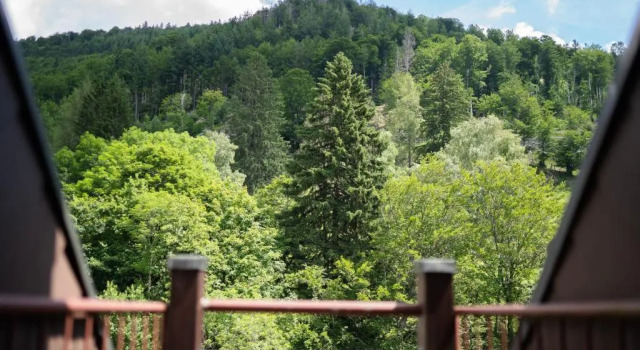 Winter-Nest, Reserva ahora Apartamento Hoteles en Baden-Wurtemberg con aparcamiento, Aparcamiento