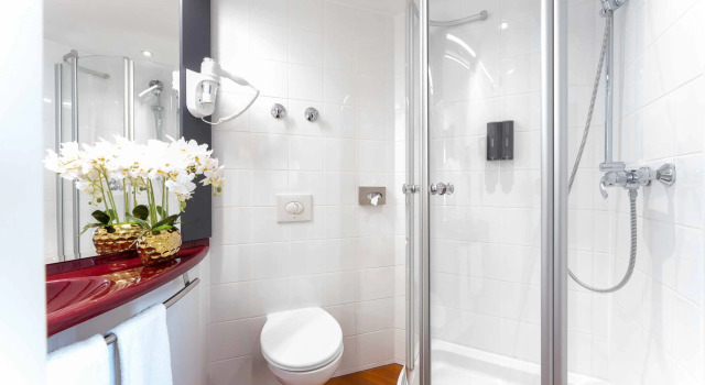 Одноместный номер Premium PLAZA Premium Parkhotel Neu-Ulm