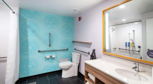 Четырёхместный номер Standard Tru By Hilton Greenville