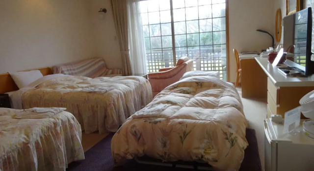 Трёхместный номер Standard Hotel Kosaka Gold Palace
