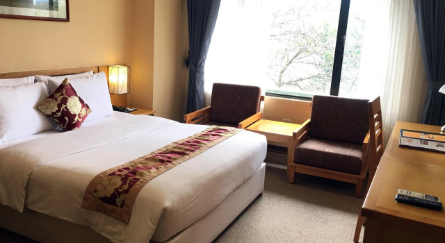 Двухместный номер Deluxe с видом на город La Passion Classic Hotel