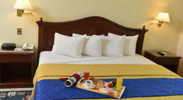 Двухместный номер Standard Hotel Continental Park