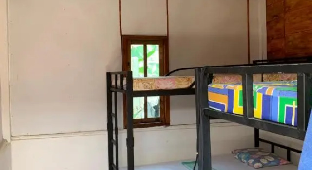 Cama en dormitorio compartido (dormitorio compartido femenino) Wanderers Hostel