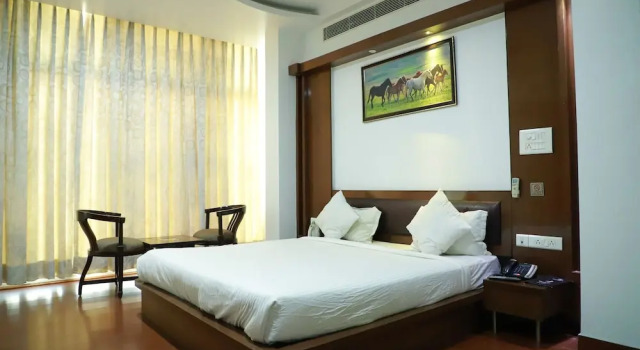 Номер Deluxe Hotel Parth Inn