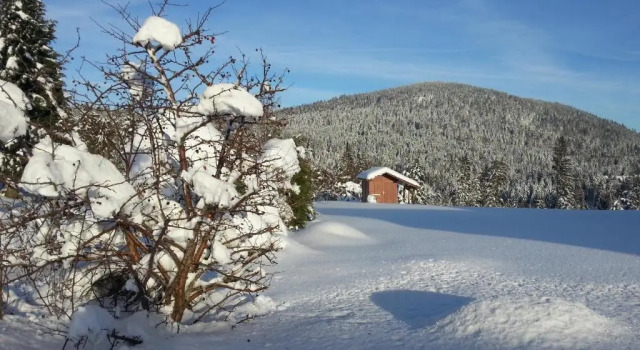 Номер Standard B&B Chalet lEpinette