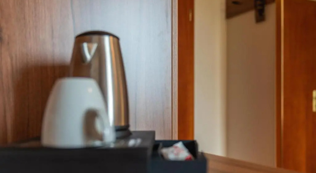 Одноместный номер Standard с видом на сад Parkhotel