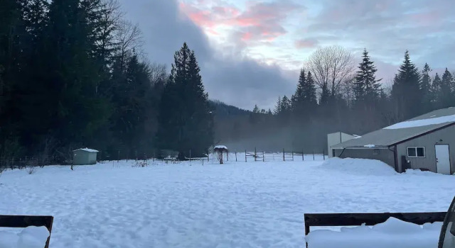 Коттедж Packwood Getaway w/ Game Room, Grill & Patio