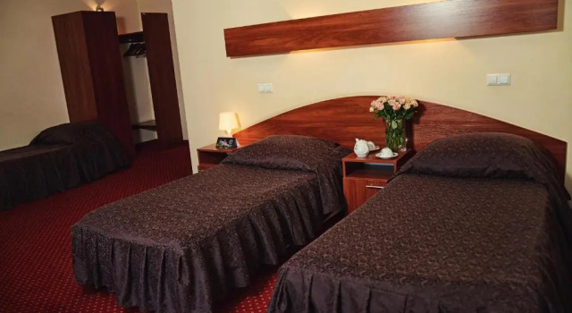Номер Standard Hotel Zamkowy