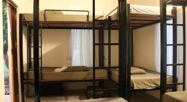 Piggy Hostel Varkala