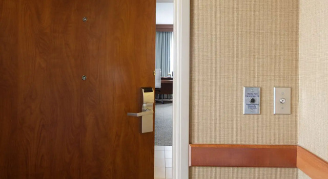 Номер Standard Hilton St. Petersburg Carillon Park