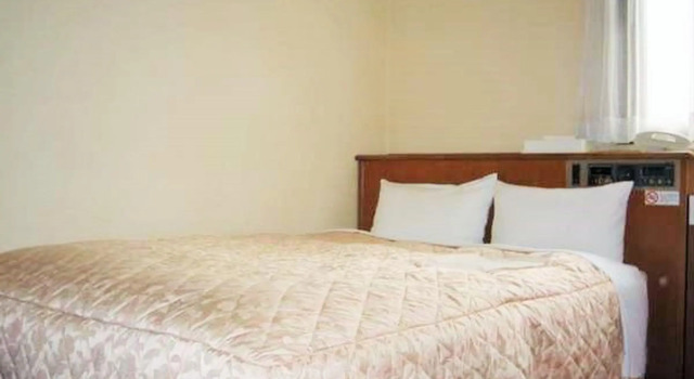 Двухместный номер Standard Nishishinjuku Green Hotel