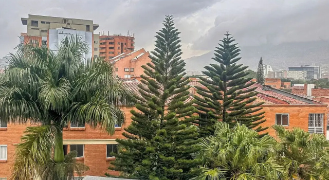 Business Doppel Studio mit Gartenblick Edificio Atalanta