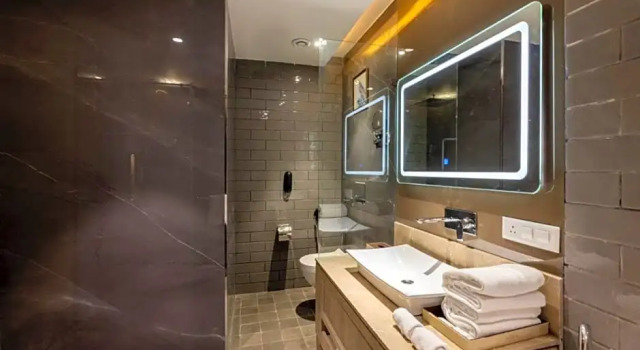 Двухместный полулюкс Sarovar Portico Morbi