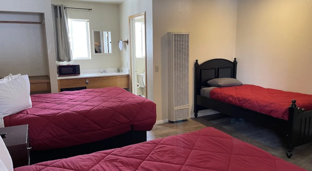 Люкс Deluxe Snow Bear Lodge