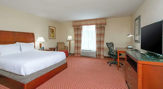 Номер Deluxe Hilton Garden Inn Morgantown