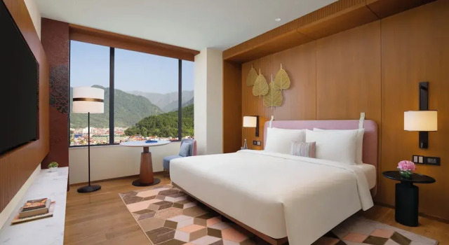 Двухместный номер Standard Hyatt Place Butwal