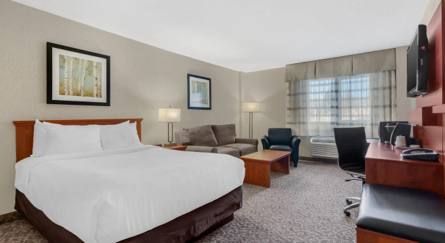 Двухместный номер Standard Clarion Hotel & Suites