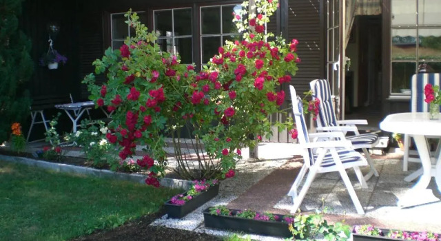 Sviitti Anitas B&B