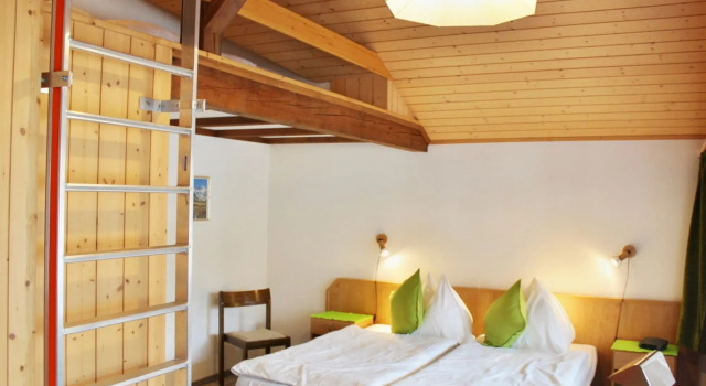 Hotel Alpina