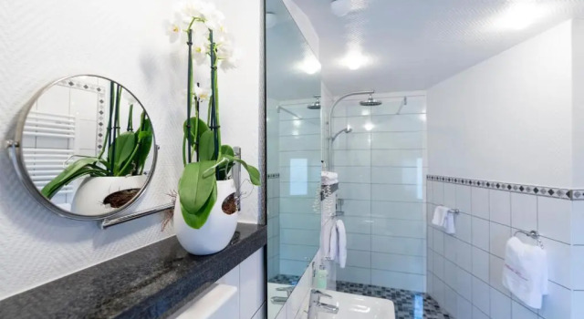Полулюкс Ambient Hotel Zum Schwan