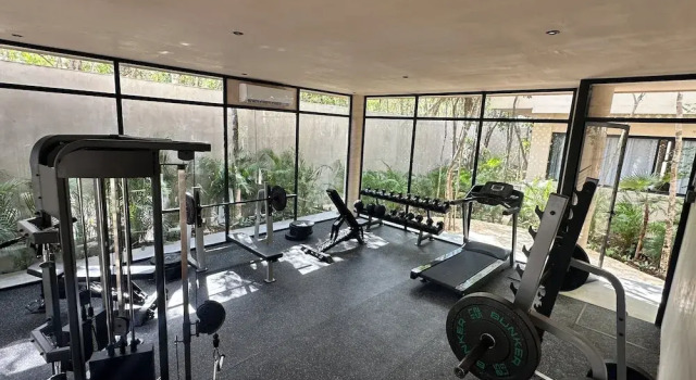 Jungle Escape Studio Quiet & Cozy C5