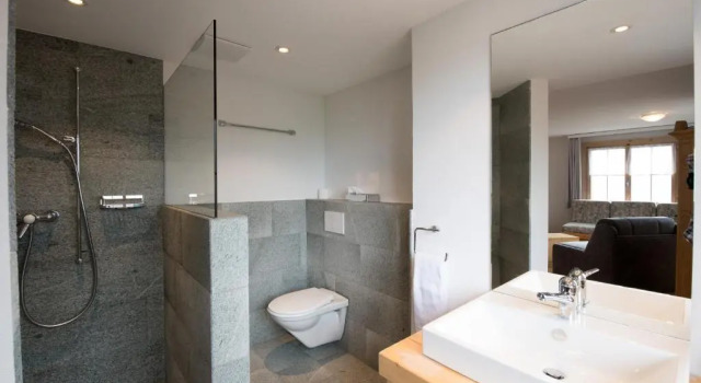 Номер Deluxe Hotel Garni Postigliun Andiast