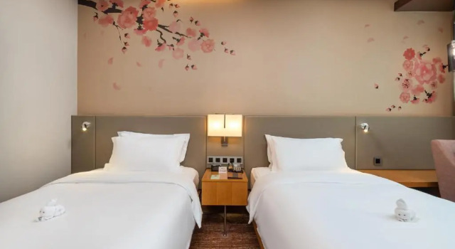 Двухместный номер Standard Hilton Garden Inn Guiyang Yunyan