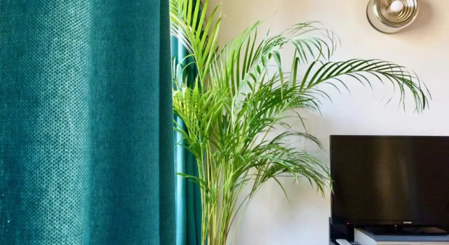 Apartamento La Flo House