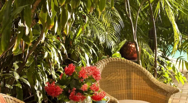 Номер Standard с красивым видом из окна Tropical Inn