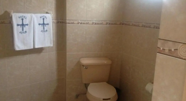 Номер Standard Hotel Astur