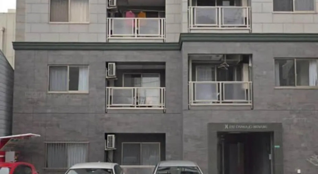 Sunny and Comfortable  Apartment 73