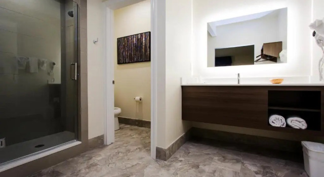 Двухместный номер Deluxe Palace Inn Blue US-59 & Gessner