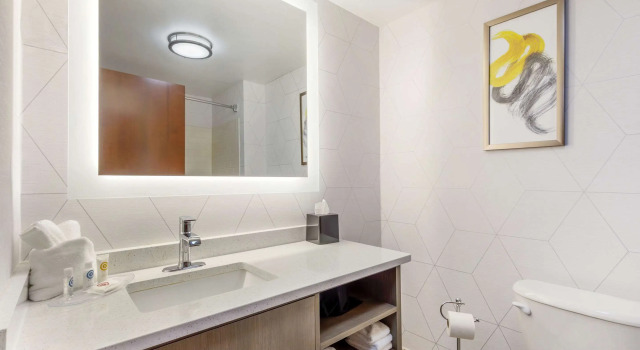 Четырёхместный люкс Comfort Suites Whitsett - Greensboro East