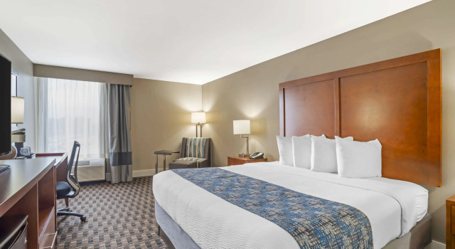 Двухместный номер Standard Best Western Plus Greenville I-385 Inn & Suites