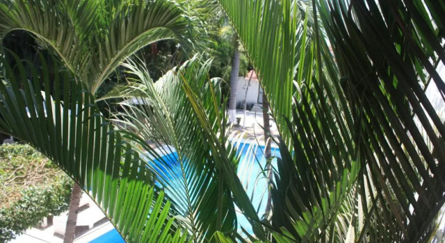 Двухместный номер Standard Hotel Olinalá Diamante