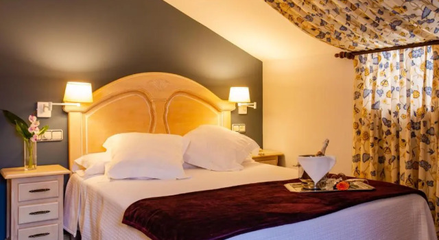 Двухместный номер Hotel Palacio De La Viñona