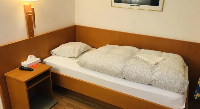 Номер Economy Parkhotel Bellevue Budget