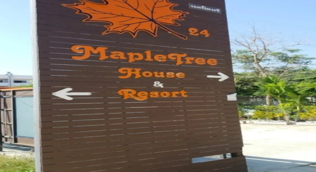 Maple Tree Resort