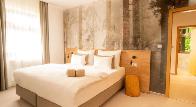 Семейный люкс Boutique Hotel Soyka