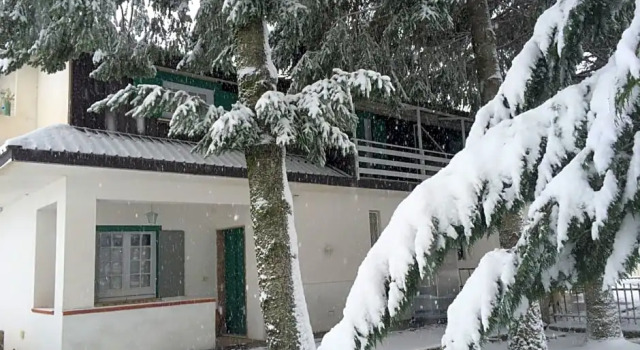 B&B Villa Capuano, Book Bed and Breakfast Camigliatello Silano 
