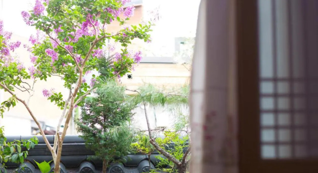 Четырёхместный номер Standard Star Rest Hanok