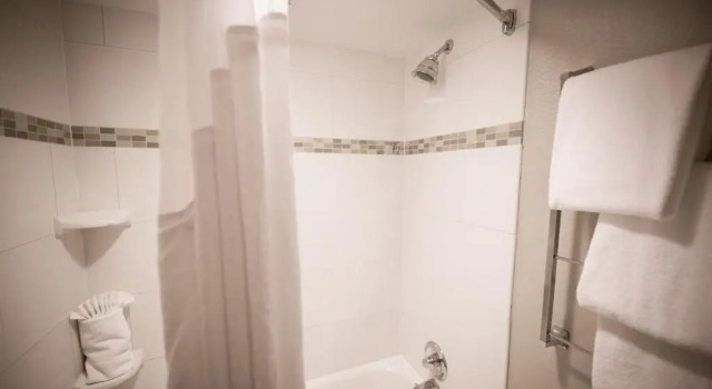 Двухместный номер Executive Holiday Inn Raleigh Dowtown - Capital