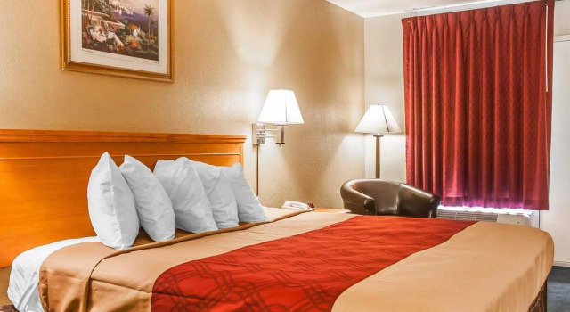 Standard Zimmer Econo Lodge